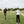 men wearing golf t-shirts on a golf course